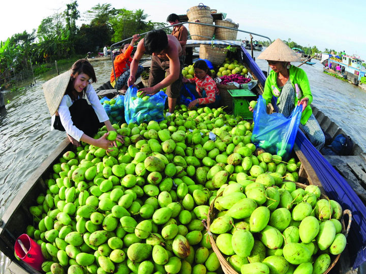 Du lịch Miền Tây Cần Thơ - Sóc Trăng - Bạc Liêu - Cà Mau từ Hà Nội